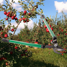 Cisailles de jardin manuelles pour tailler et couper les branches - Livraison offerte