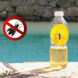 6 Pièges à Guêpes Écologiques - Livraison offerte