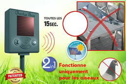 Répulsif pour oiseaux - Livraison offerte