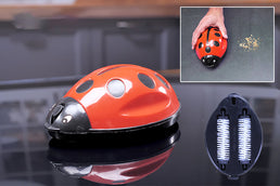 Ramasse miettes "Coccinelle" avec double brosse - Livraison offerte