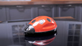 Ramasse miettes "Coccinelle" avec double brosse - Livraison offerte