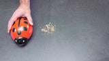 Ramasse miettes "Coccinelle" avec double brosse - Livraison offerte